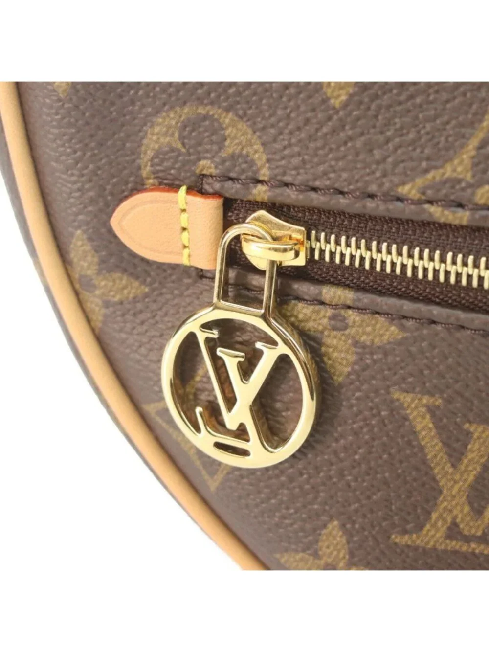 Louis Vuitton Monogram Loop Shoulder Bag